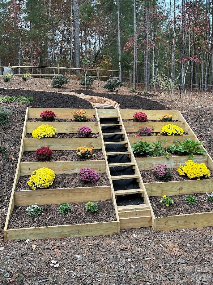 203 Burnt Chimney Lane Rutherfordton NC 28139