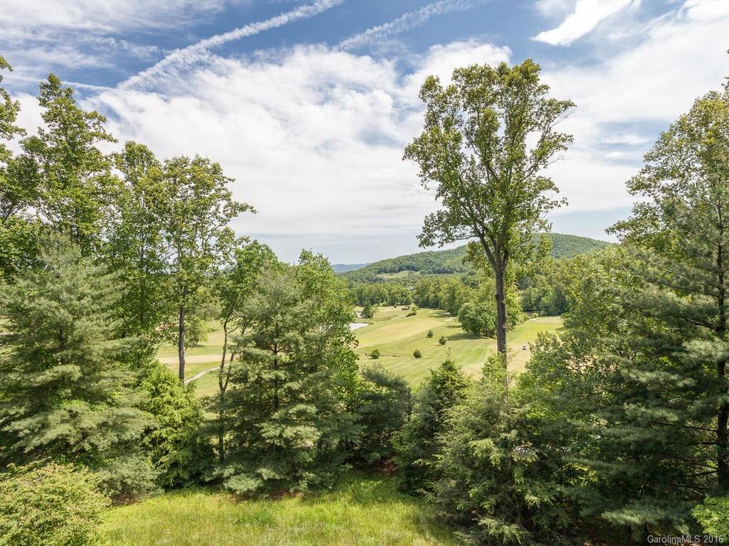 4 Hickory Vista Lane Mills River NC 28759