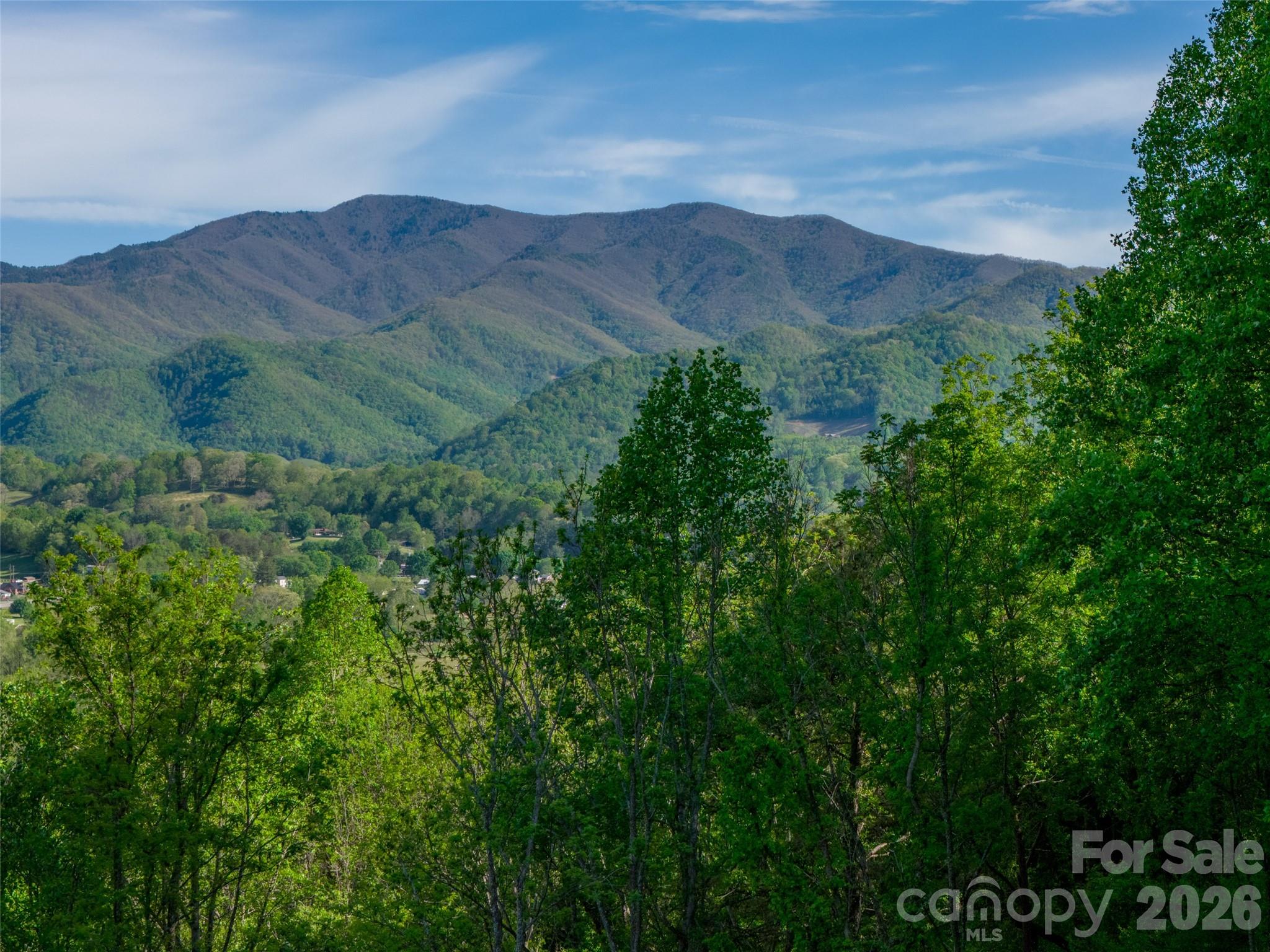 345 Moorehill Drive Waynesville NC 28786