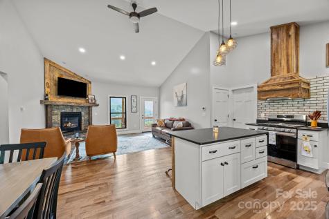 131 Tobacco Trail Canton NC 28716