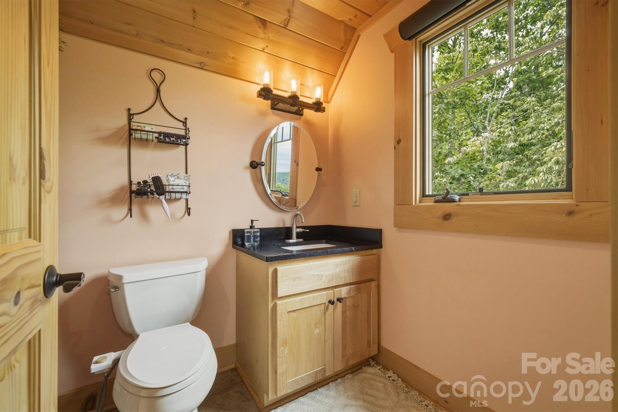 39 Lakeside Path Nebo NC 28761