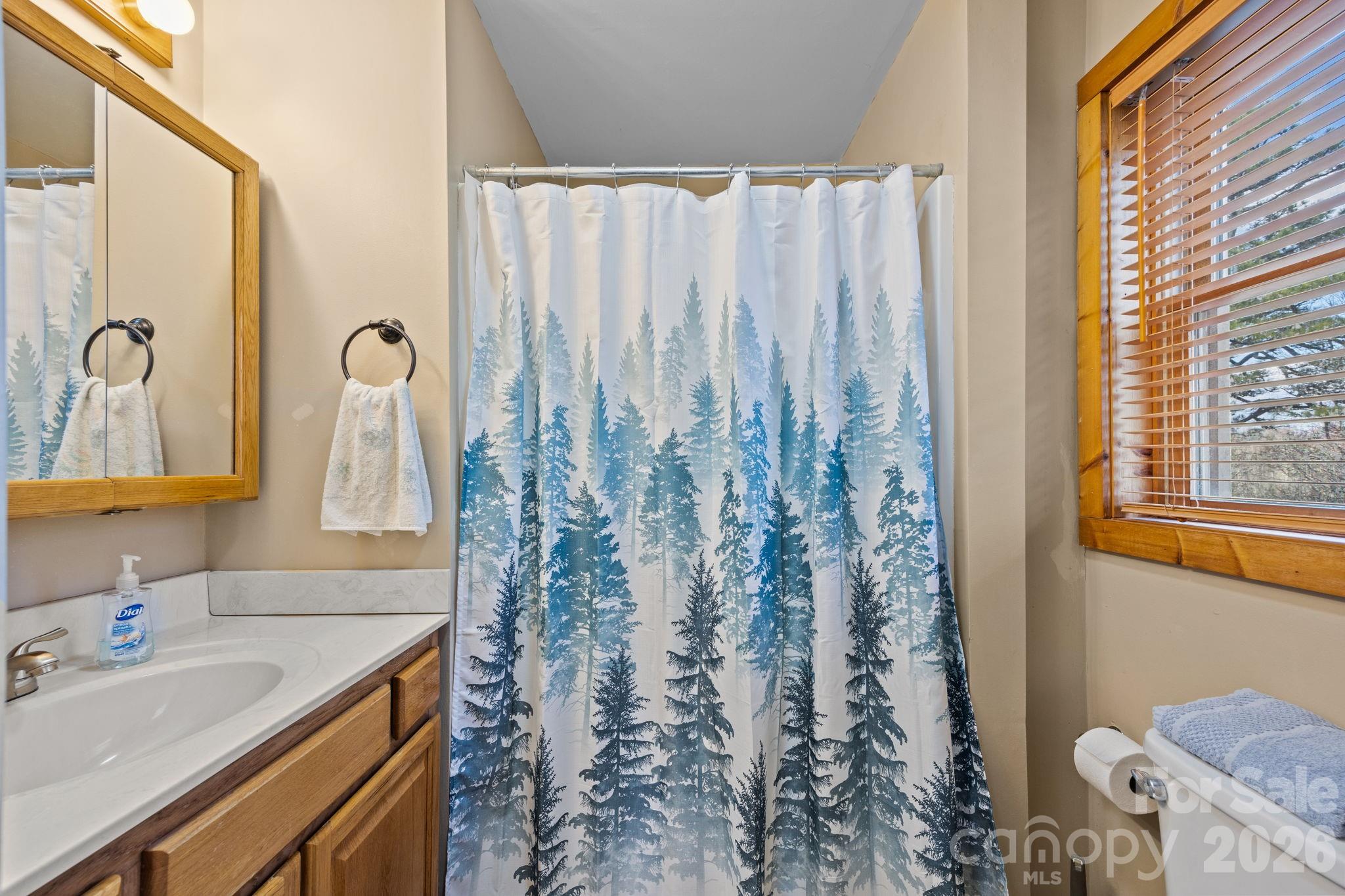 951 Pine Tree Road Spruce Pine NC 28777