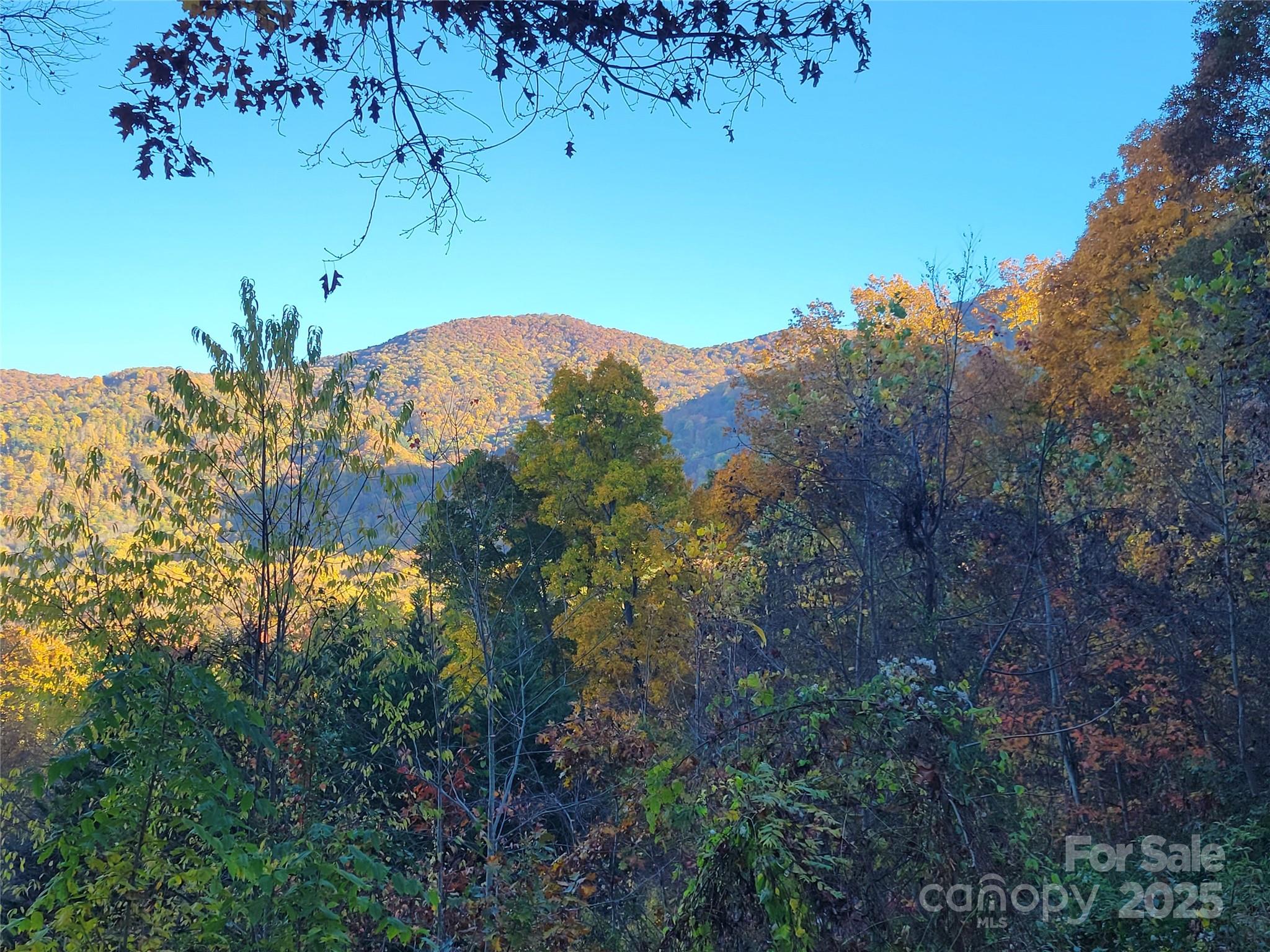 144 Ruffed Grouse Lane Waynesville NC 28786