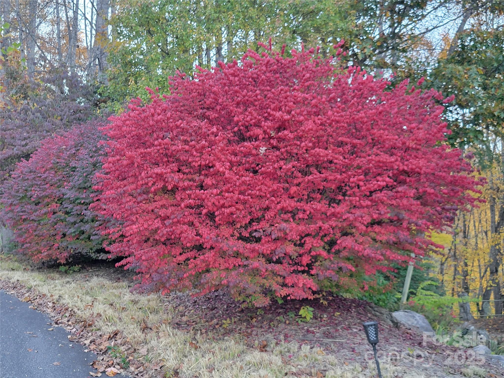 144 Ruffed Grouse Lane Waynesville NC 28786