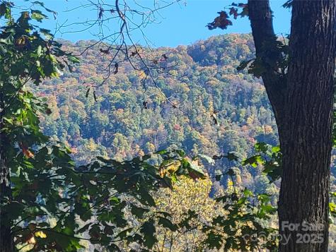 144 Ruffed Grouse Lane Waynesville NC 28786