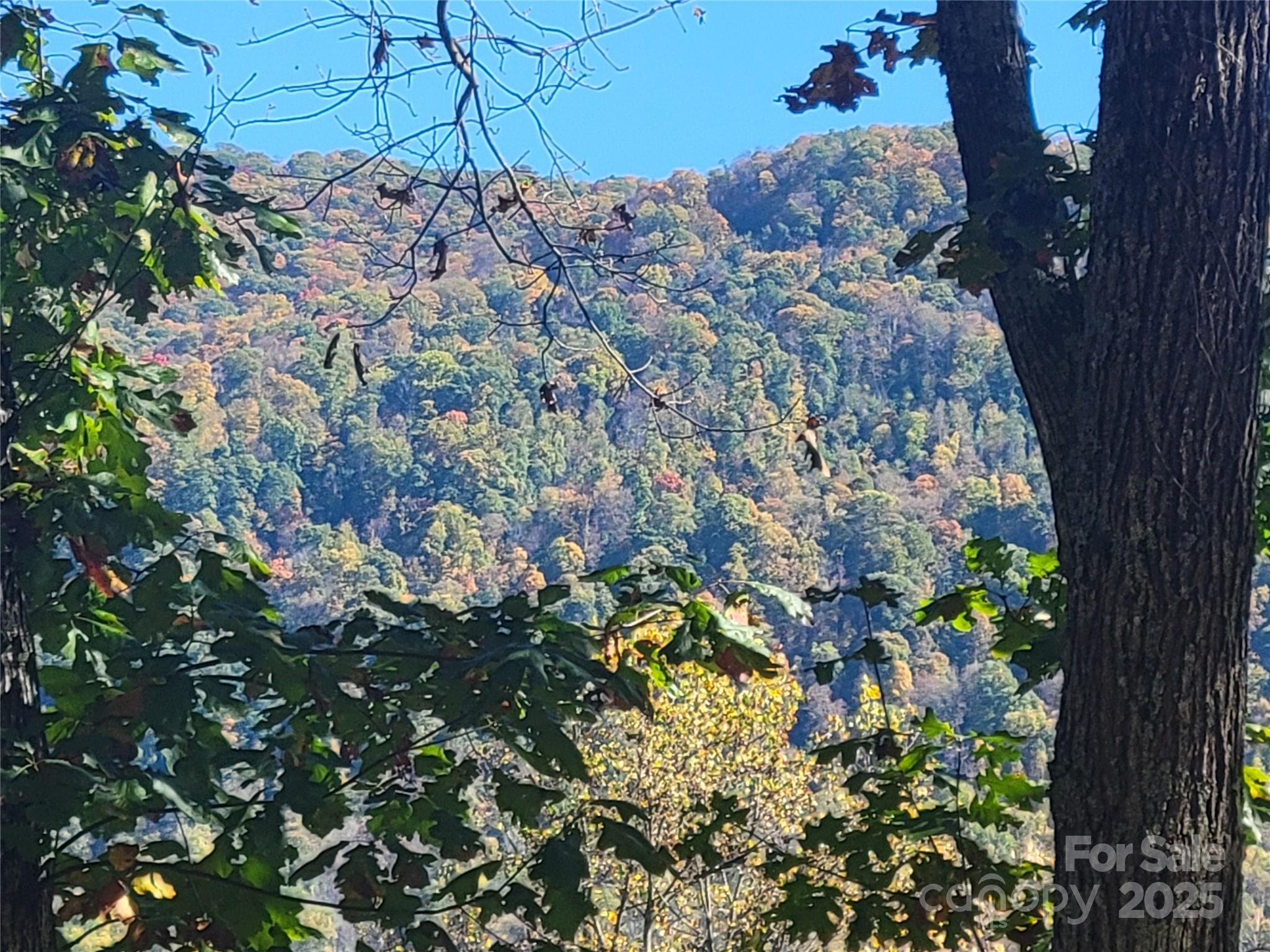 144 Ruffed Grouse Lane Waynesville NC 28786