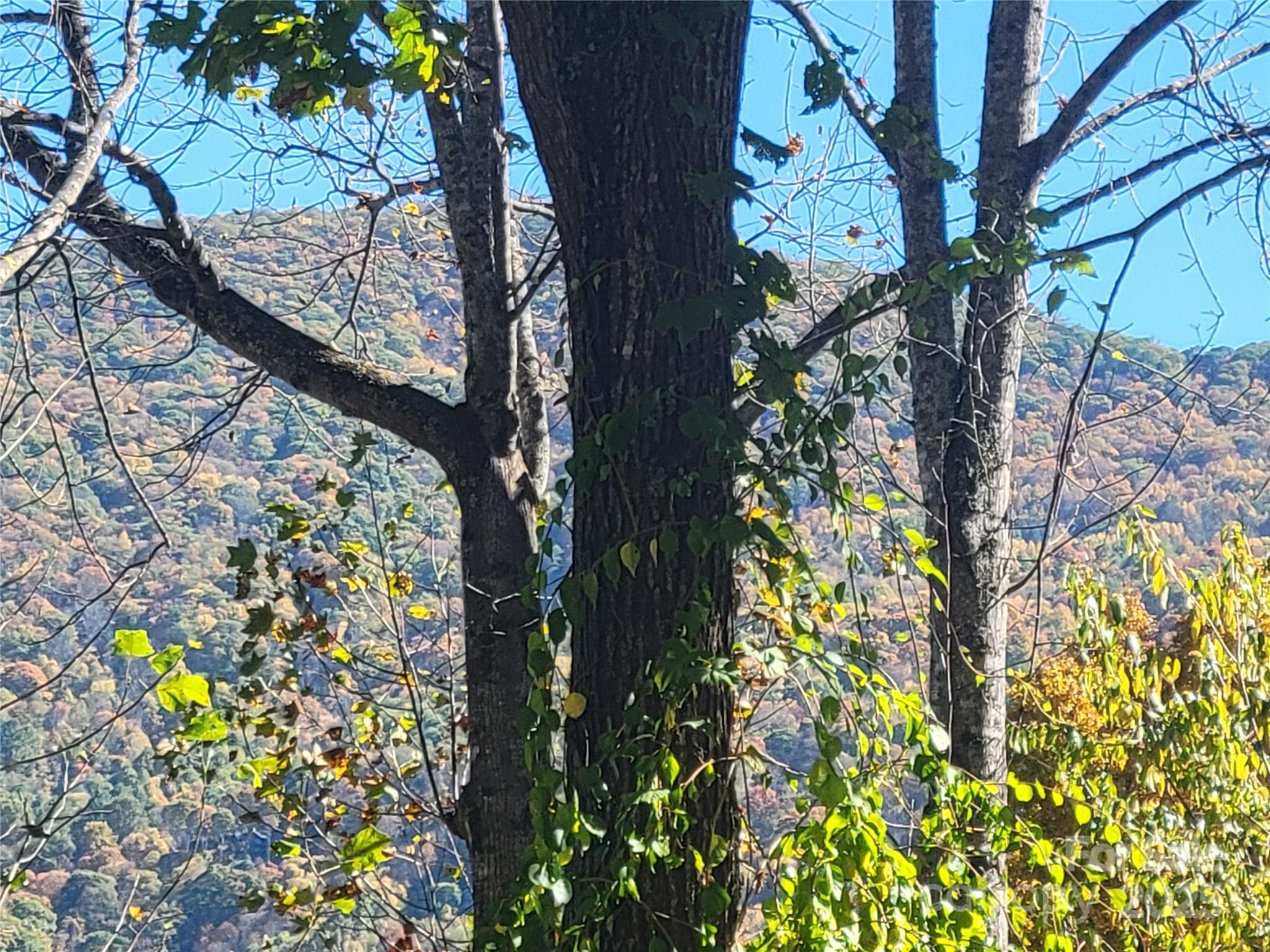 144 Ruffed Grouse Lane Waynesville NC 28786