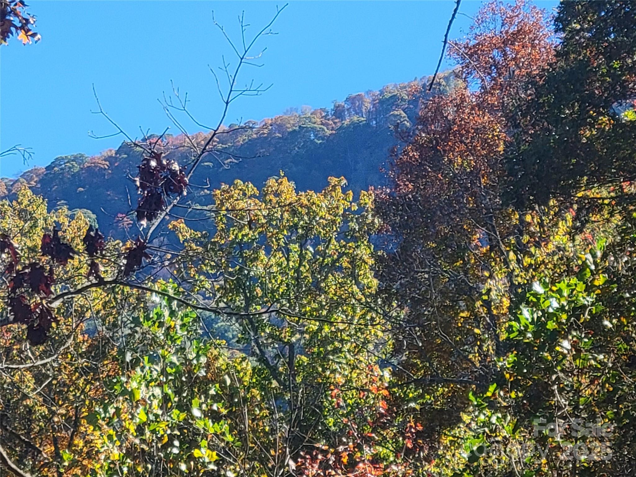 144 Ruffed Grouse Lane Waynesville NC 28786