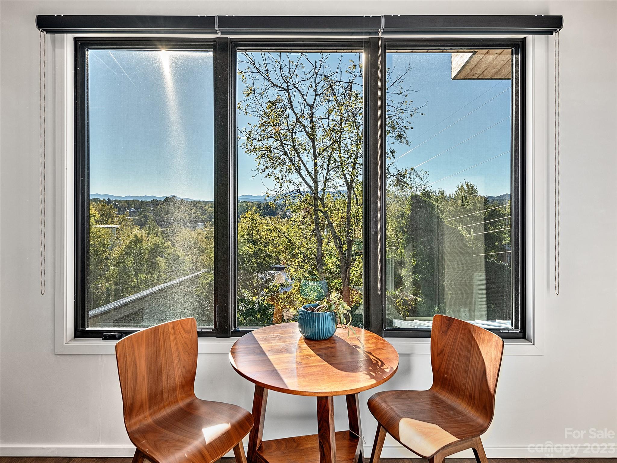 405 W Haywood Street Asheville NC 28801