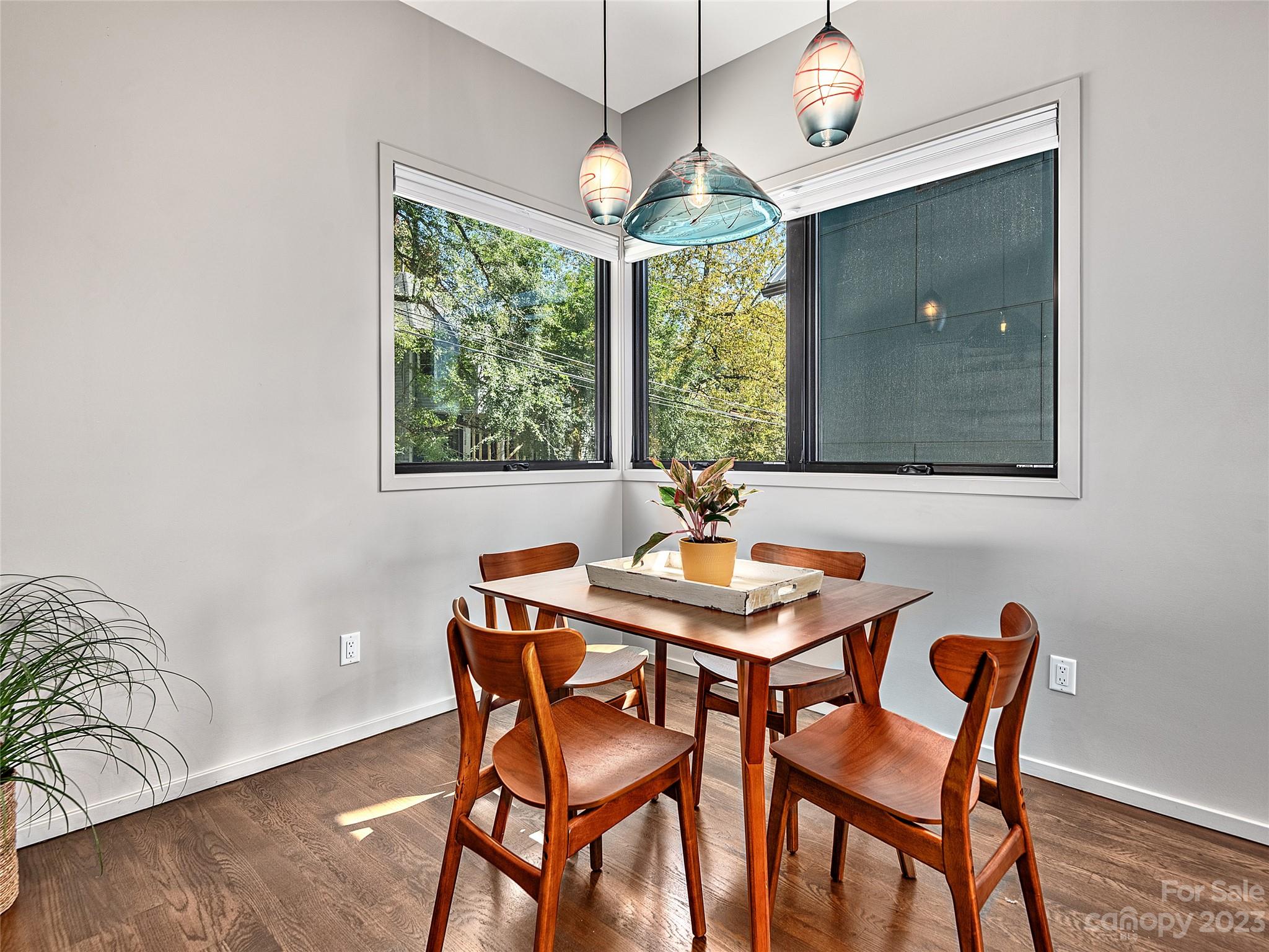 405 W Haywood Street Asheville NC 28801