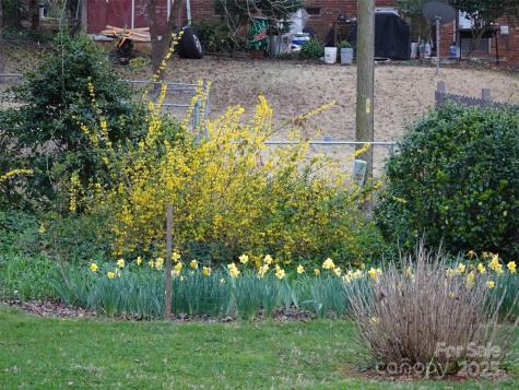 5806 Whitingham Drive Charlotte NC 28215