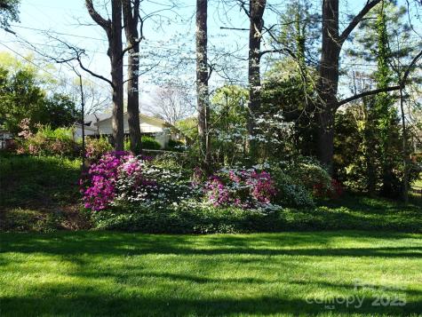 5806 Whitingham Drive Charlotte NC 28215