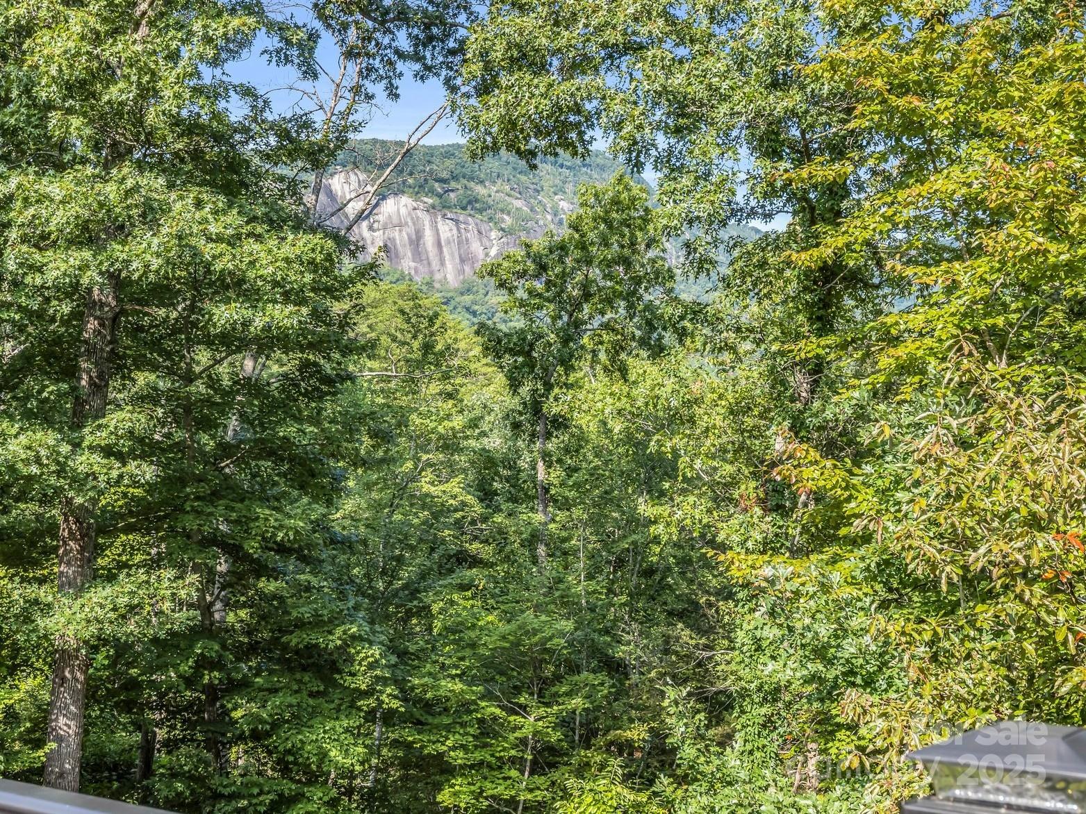 159 Bee Tree Point Lake Lure NC 28746