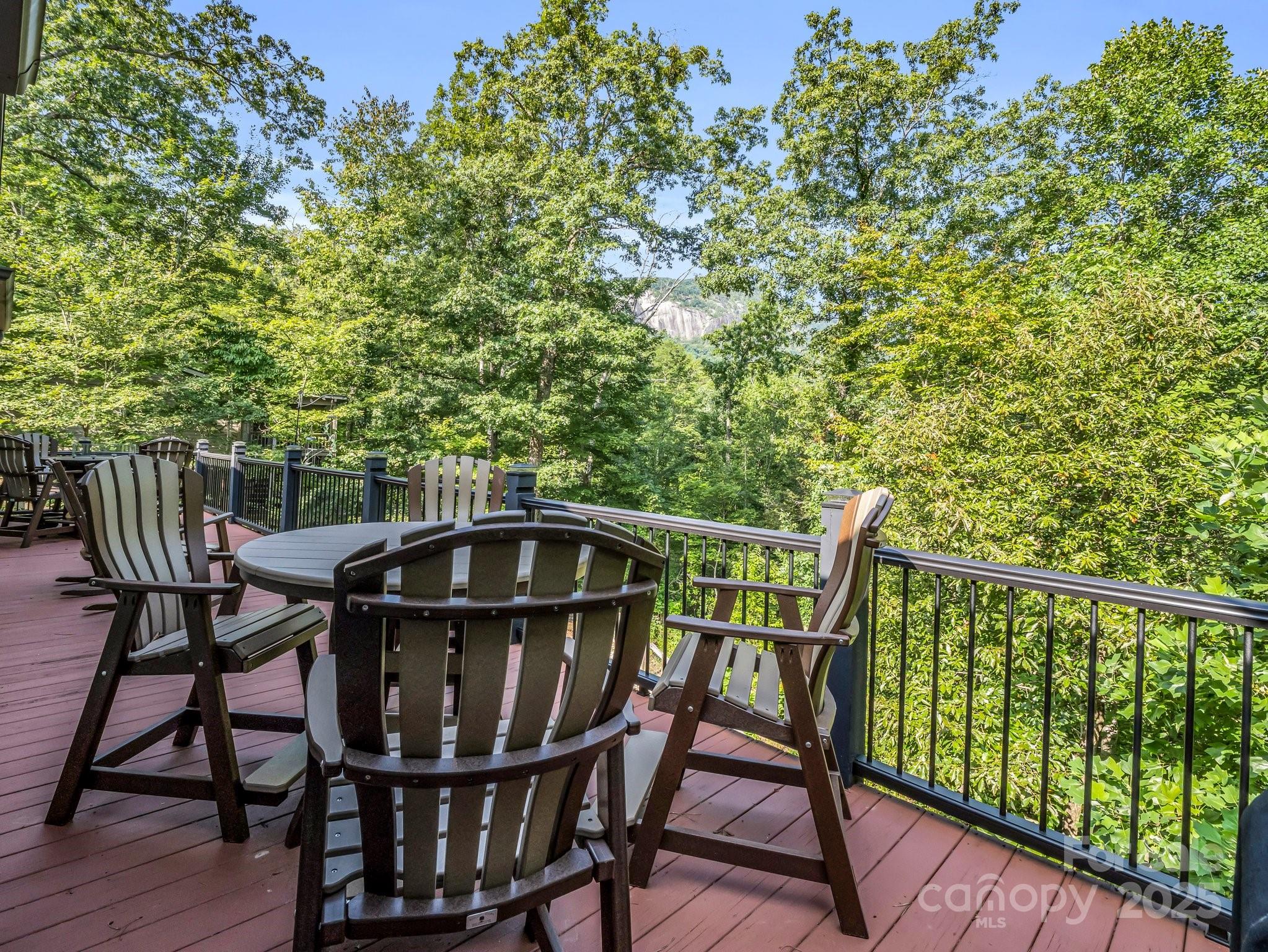 159 Bee Tree Point Lake Lure NC 28746