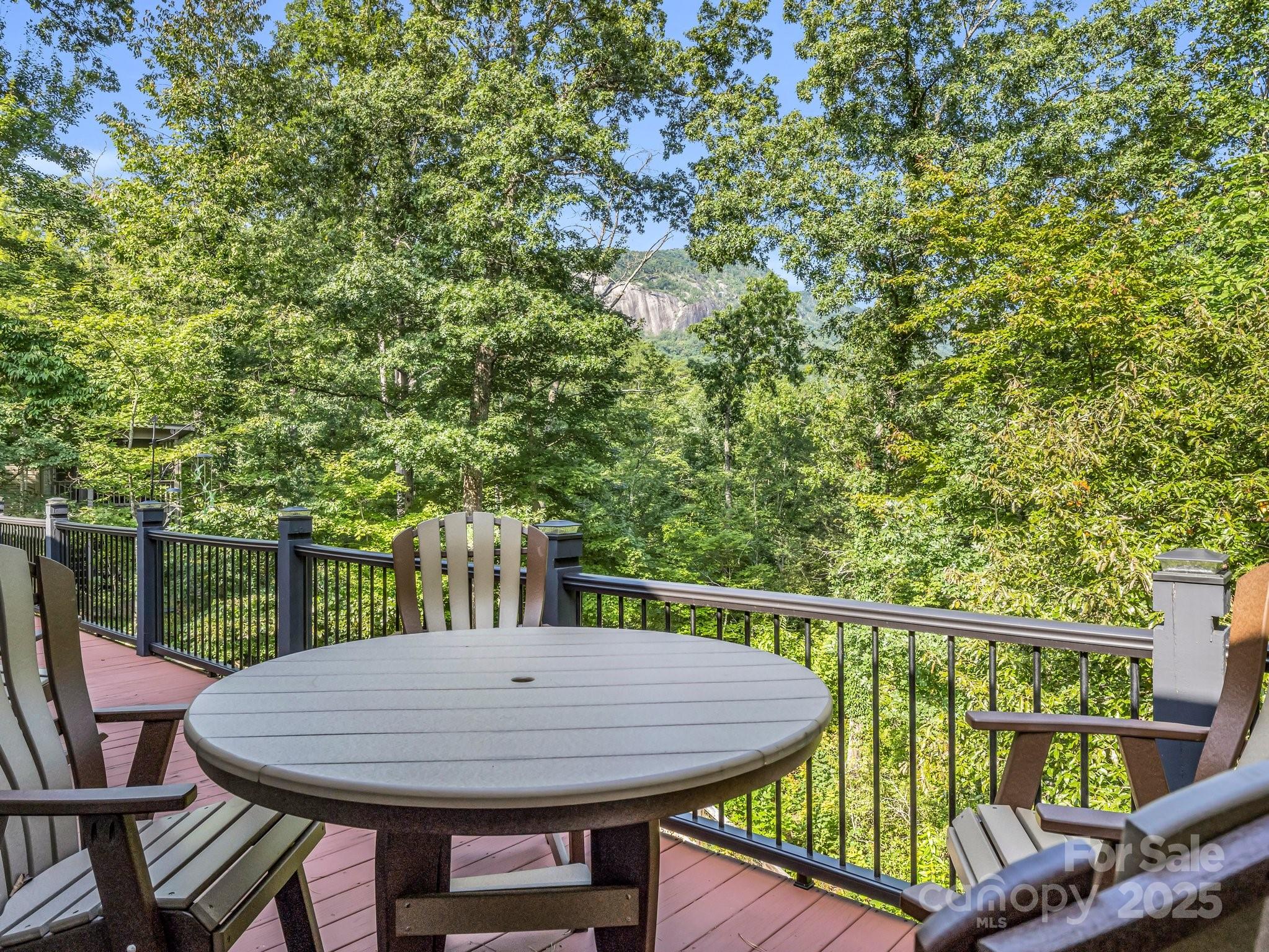 159 Bee Tree Point Lake Lure NC 28746