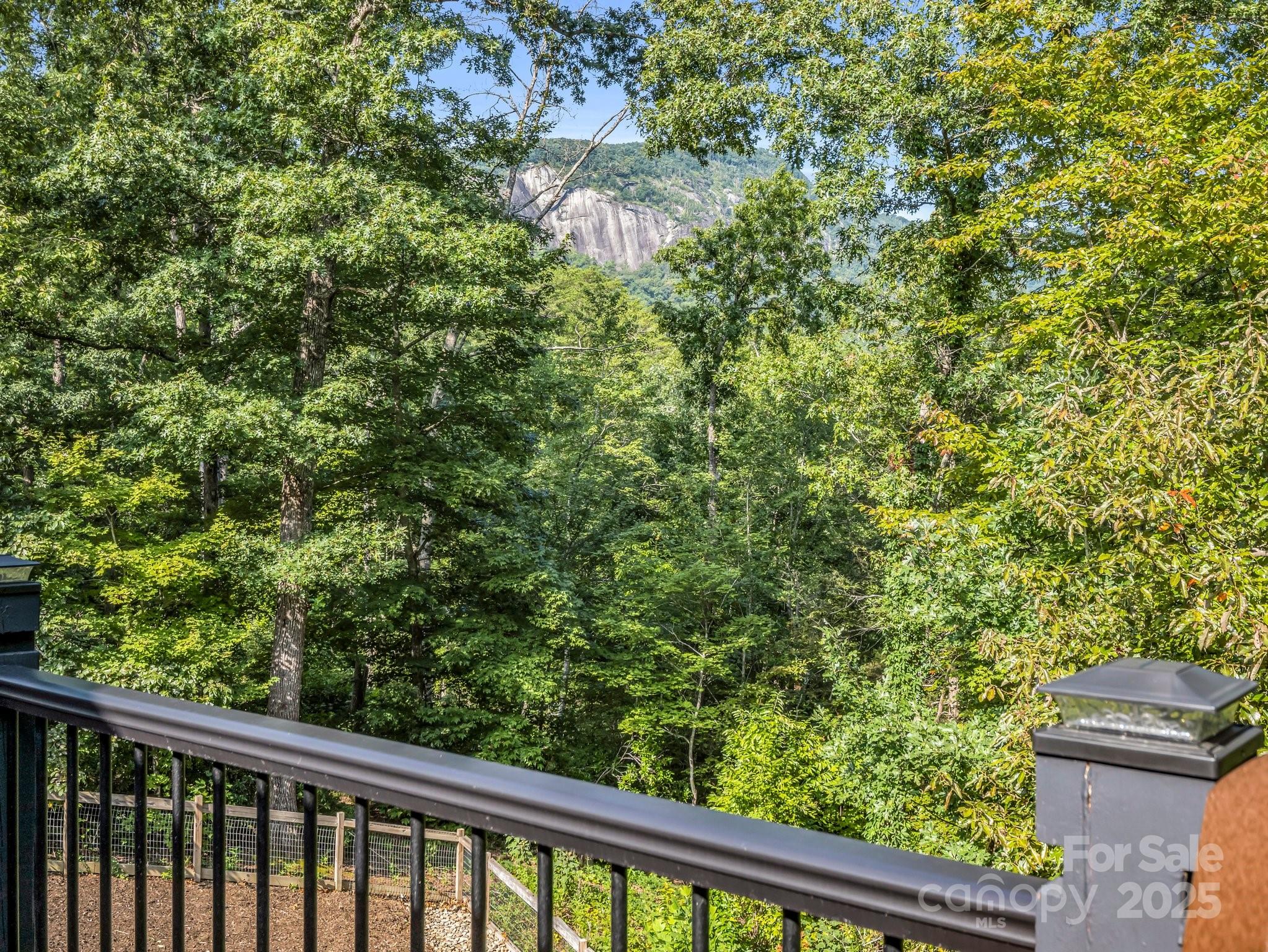 159 Bee Tree Point Lake Lure NC 28746