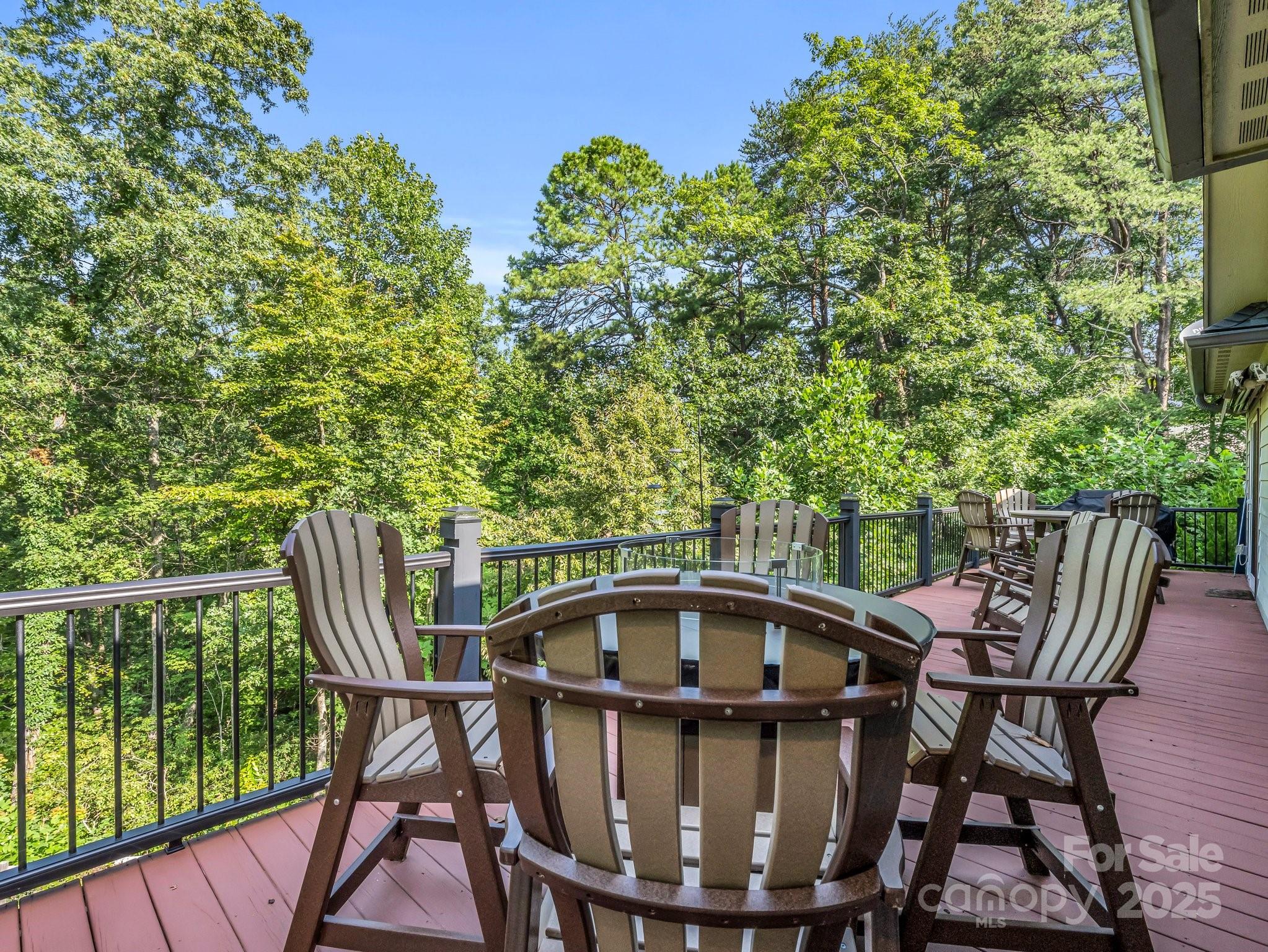 159 Bee Tree Point Lake Lure NC 28746