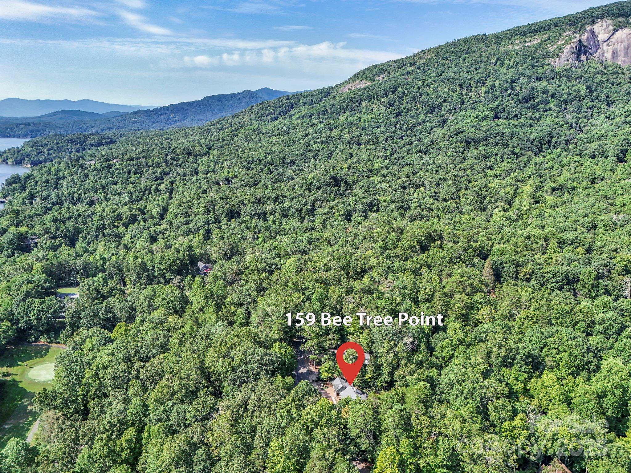 159 Bee Tree Point Lake Lure NC 28746