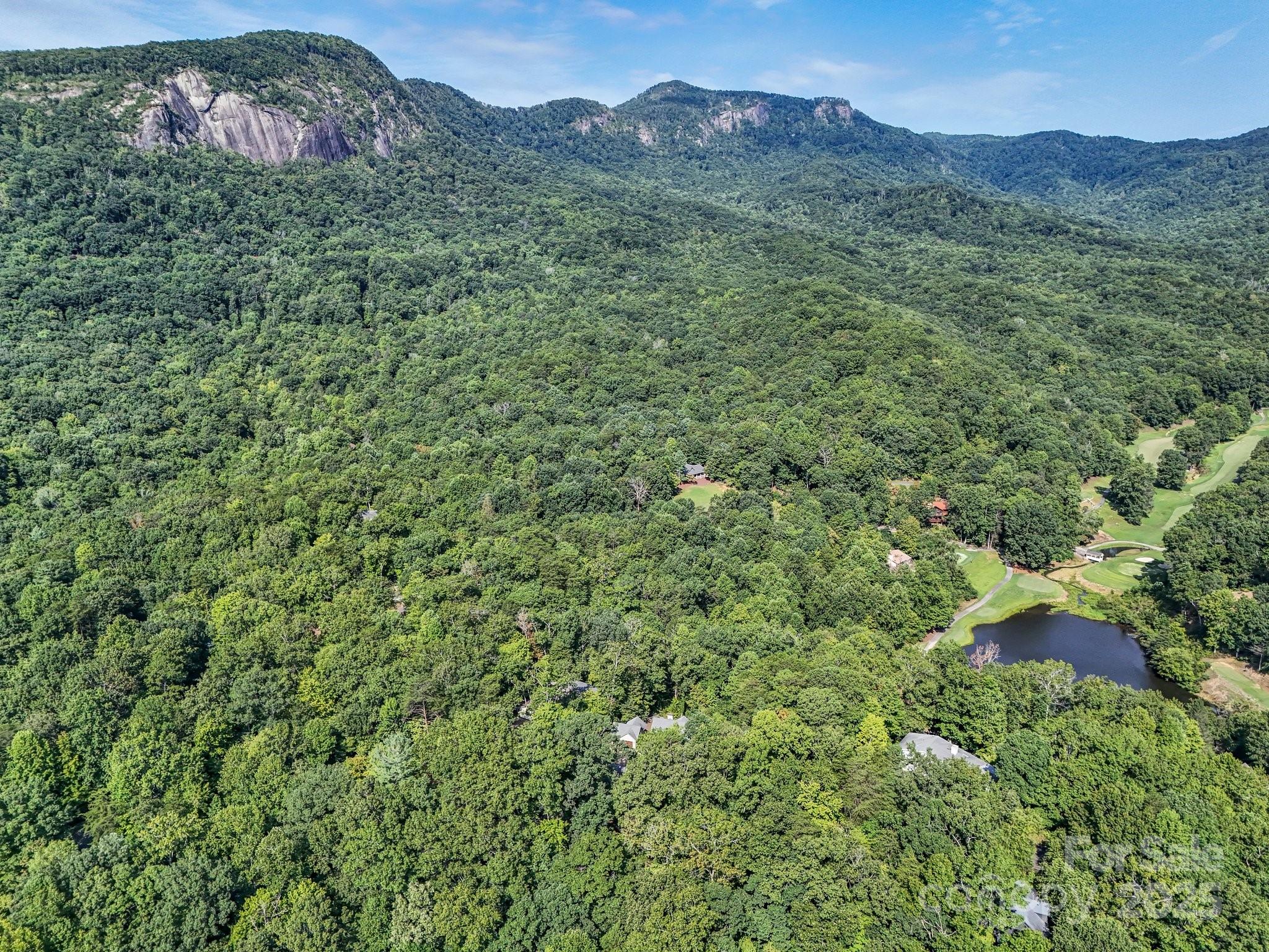 159 Bee Tree Point Lake Lure NC 28746