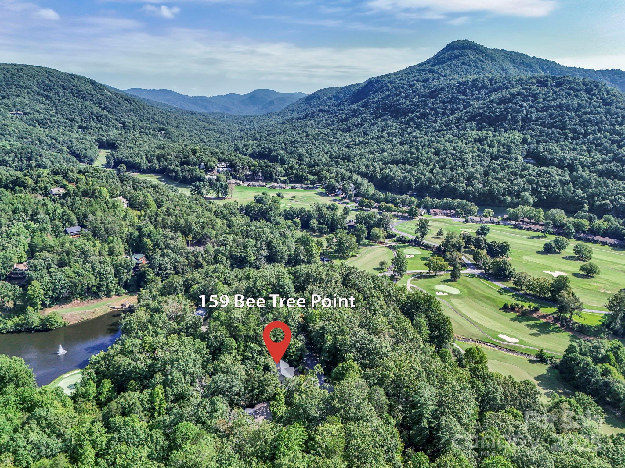 159 Bee Tree Point Lake Lure NC 28746