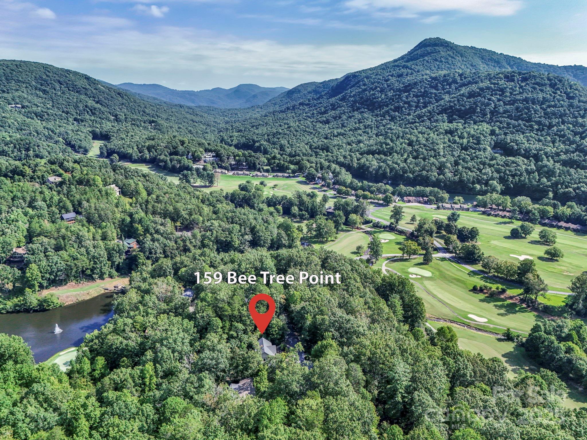 159 Bee Tree Point Lake Lure NC 28746