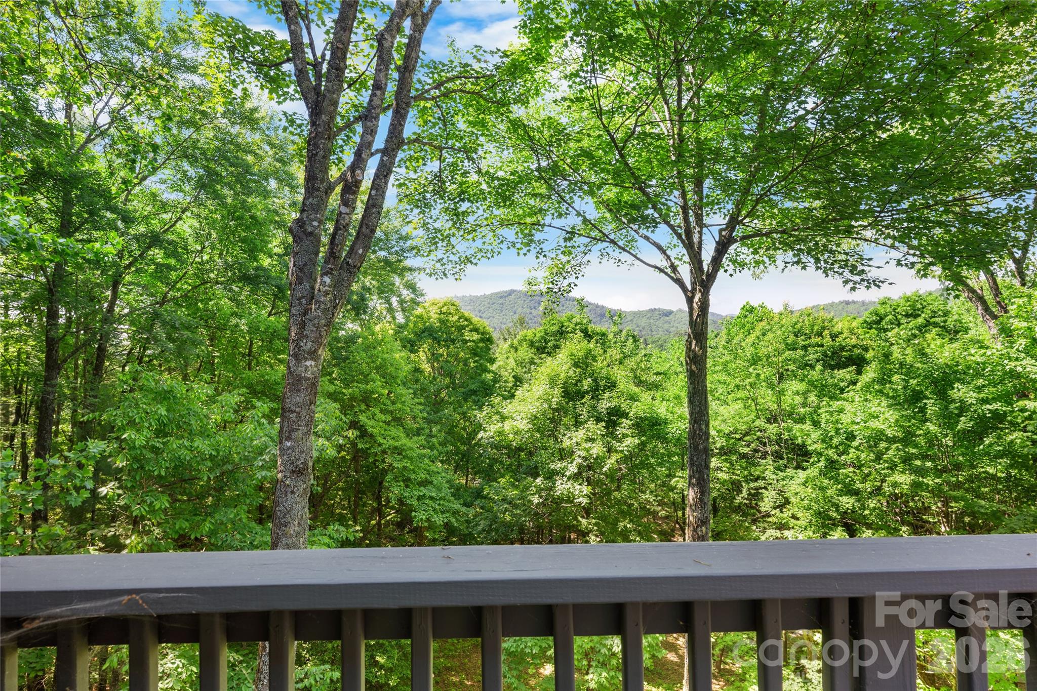 147 Club Colony Lane Lake Toxaway NC 28747