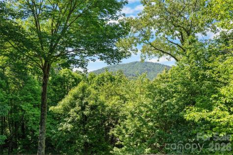 147 Club Colony Lane Lake Toxaway NC 28747