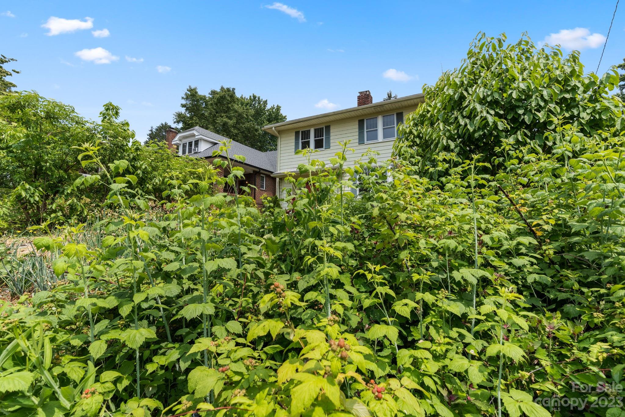 19 Mount Vernon Circle Asheville NC 28804