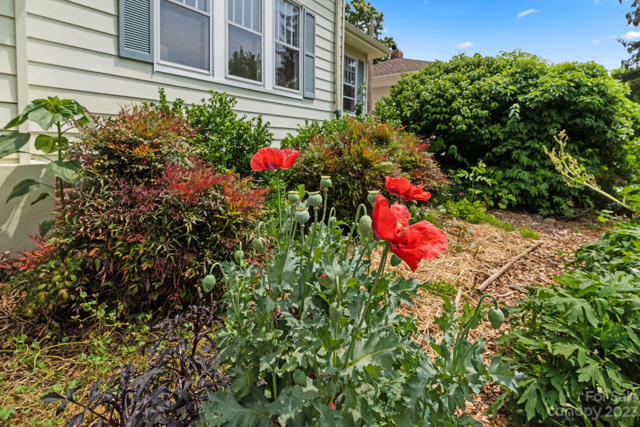 19 Mount Vernon Circle Asheville NC 28804