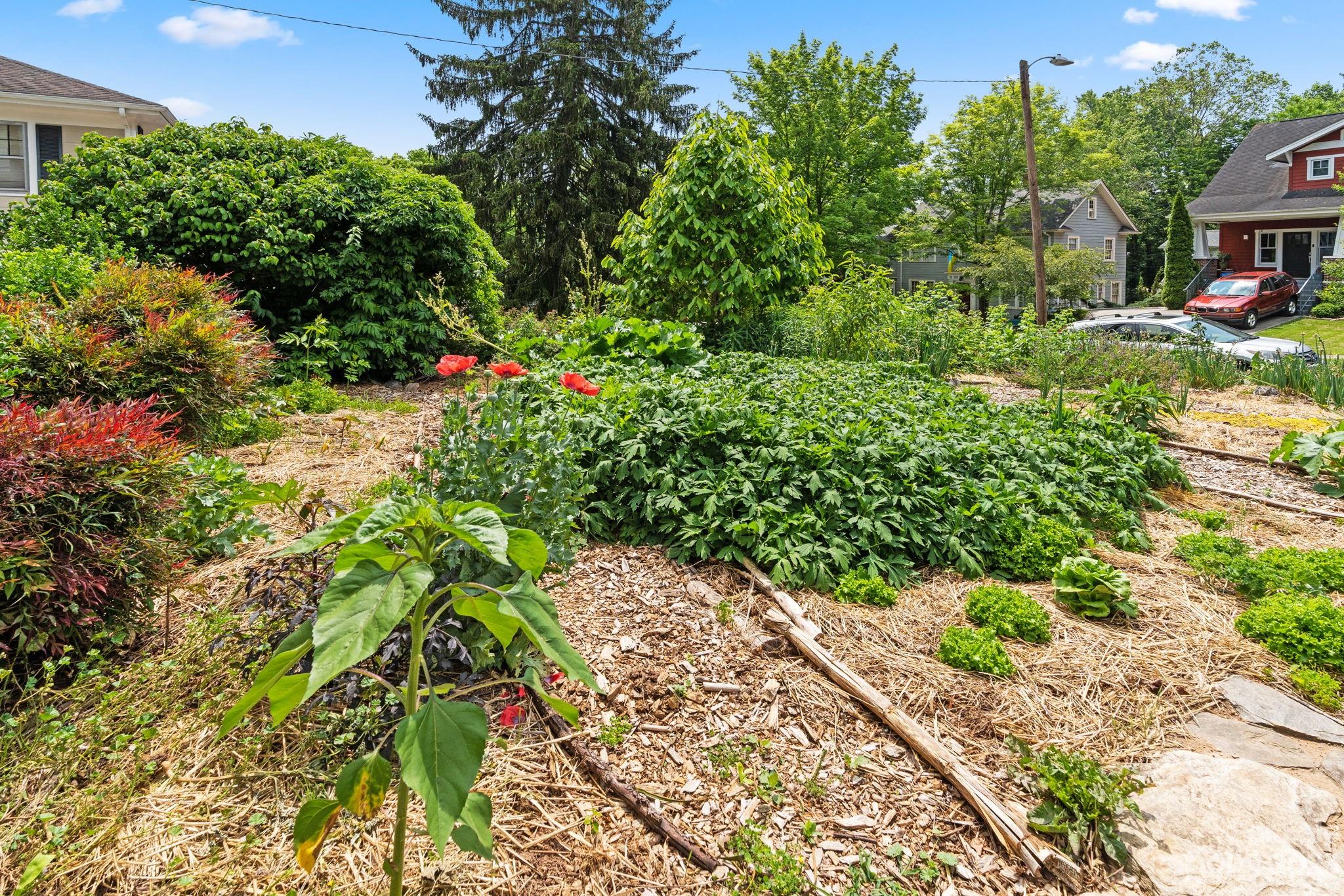 19 Mount Vernon Circle Asheville NC 28804