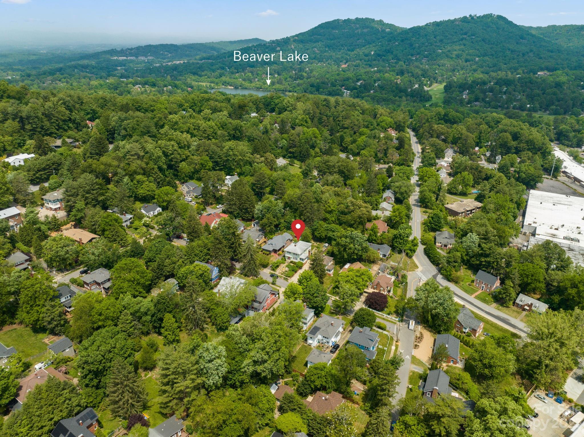 19 Mount Vernon Circle Asheville NC 28804