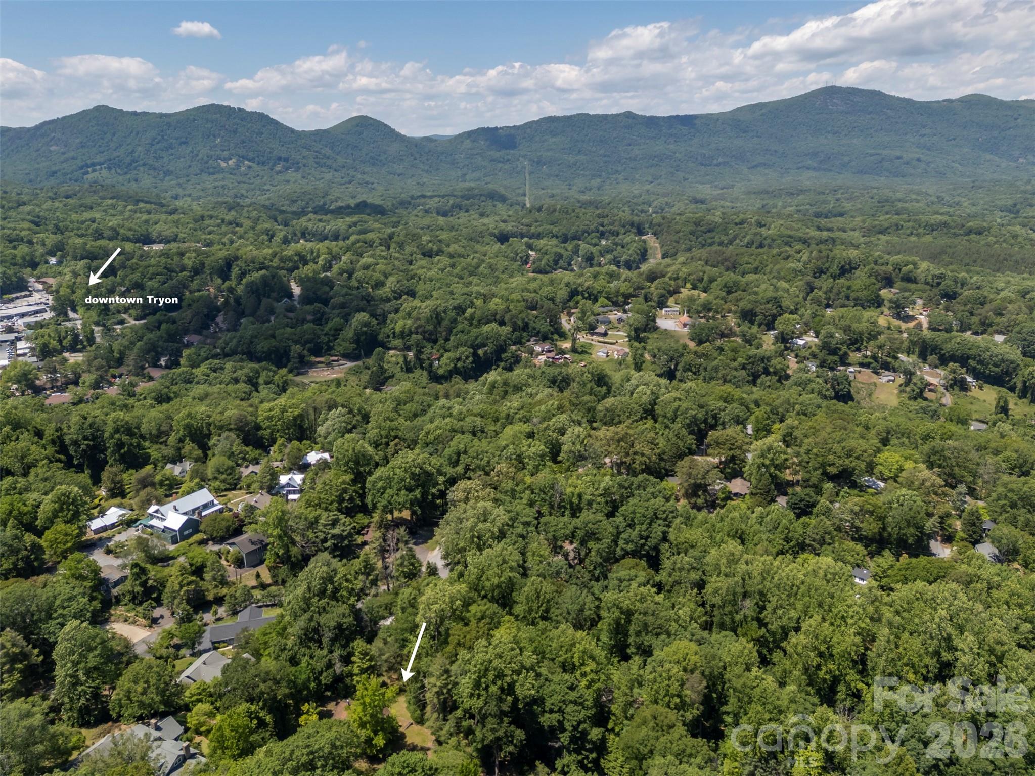 77 First Street Tryon NC 28782