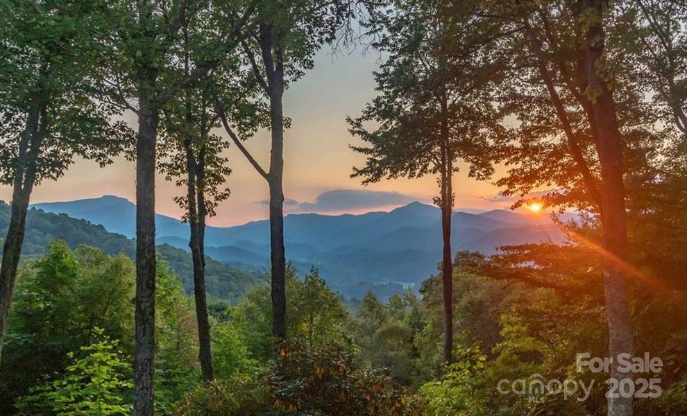243 Red Oak Trail Boone NC 28607