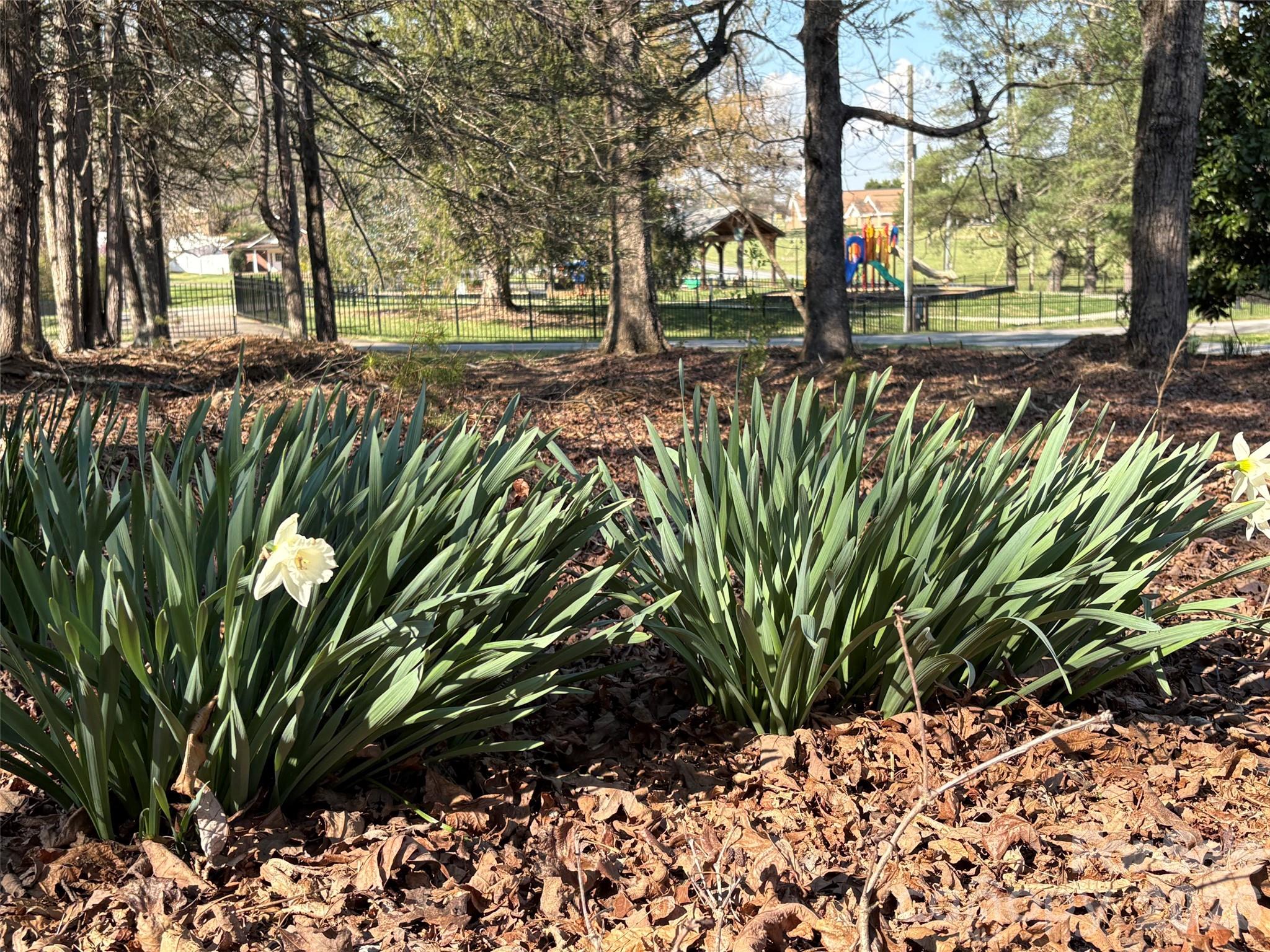 1820 Connelly Springs Road Lenoir NC 28645