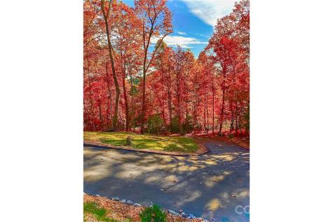 151 Unoga Court Brevard NC 28712