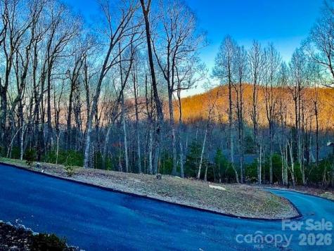 151 Unoga Court Brevard NC 28712