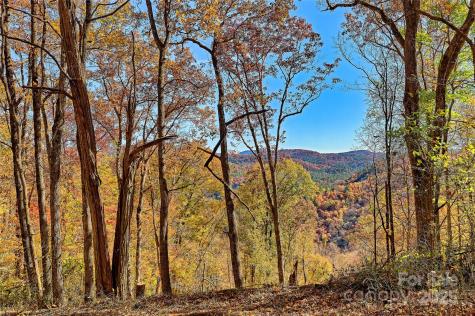 2626 Dendy Orchard Road Highlands NC 28741