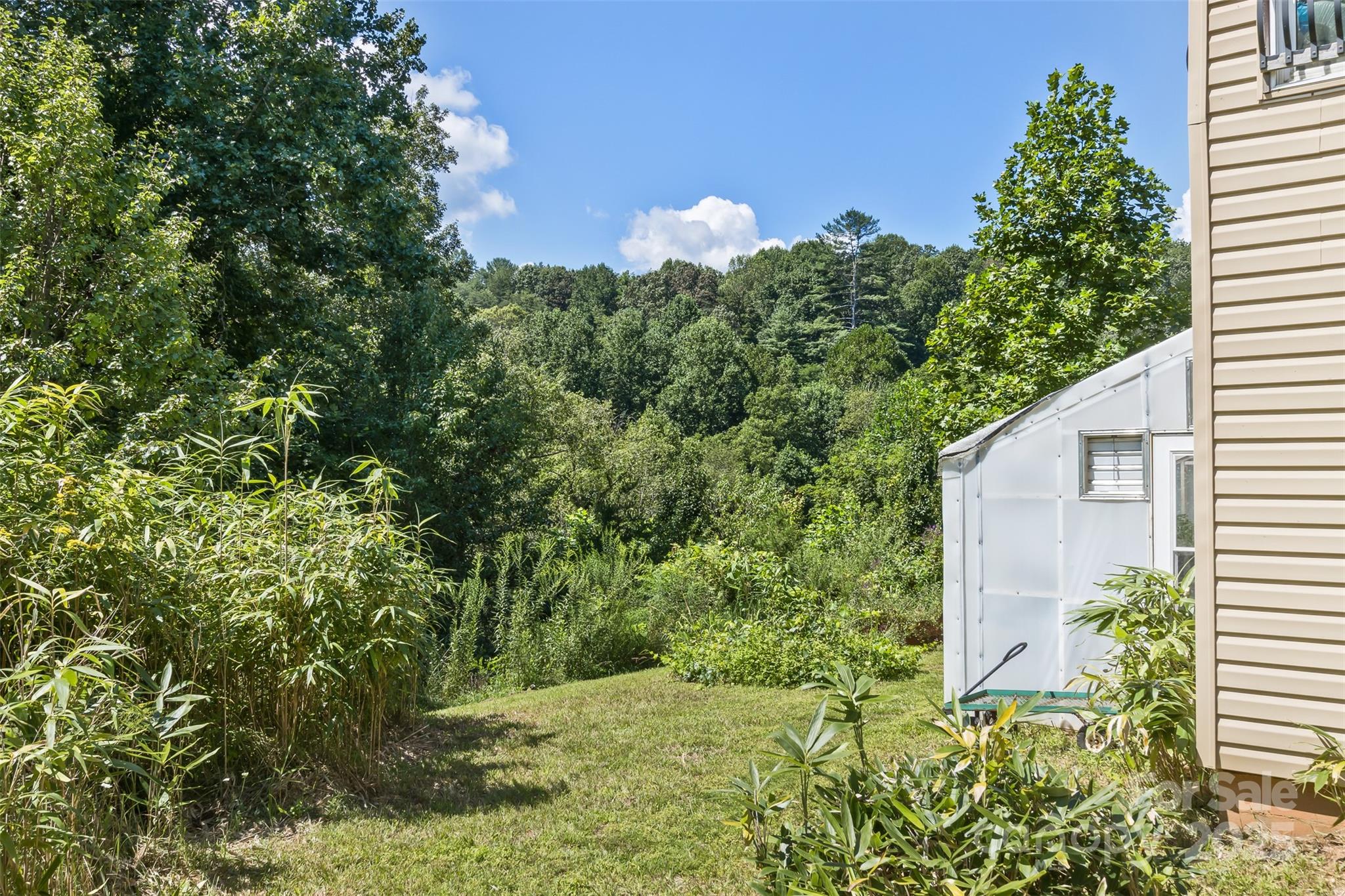 117 Old Dairy Drive Leicester NC 28748