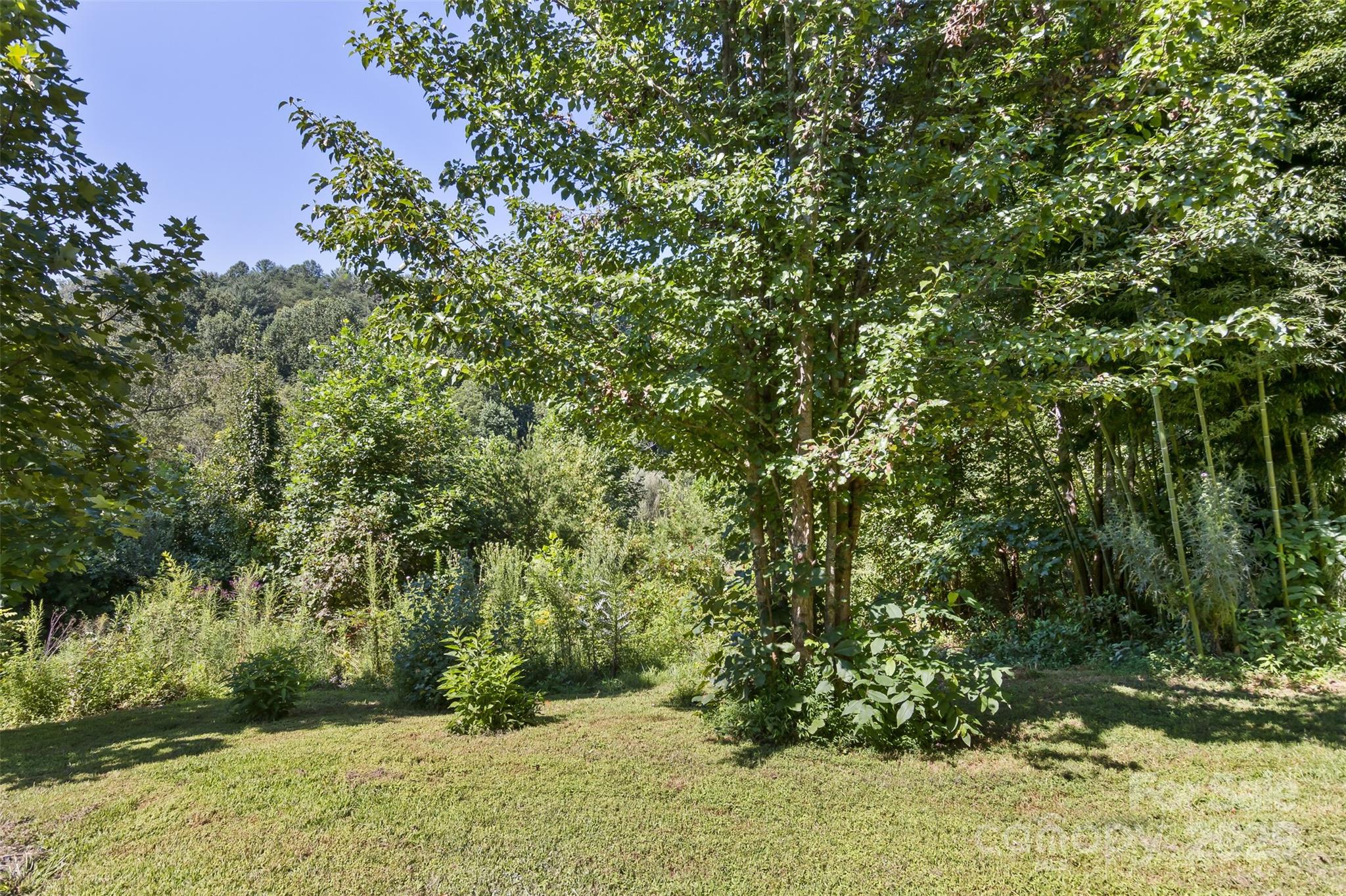 117 Old Dairy Drive Leicester NC 28748