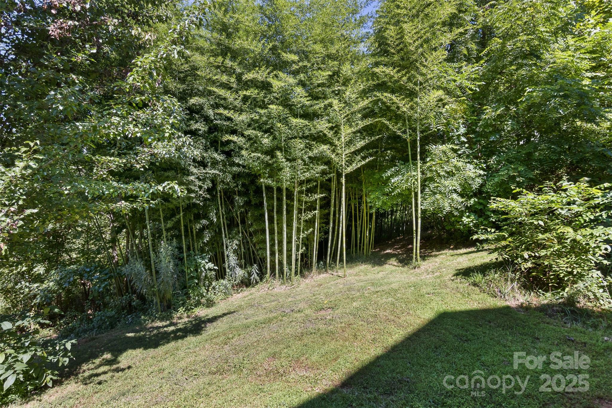 117 Old Dairy Drive Leicester NC 28748