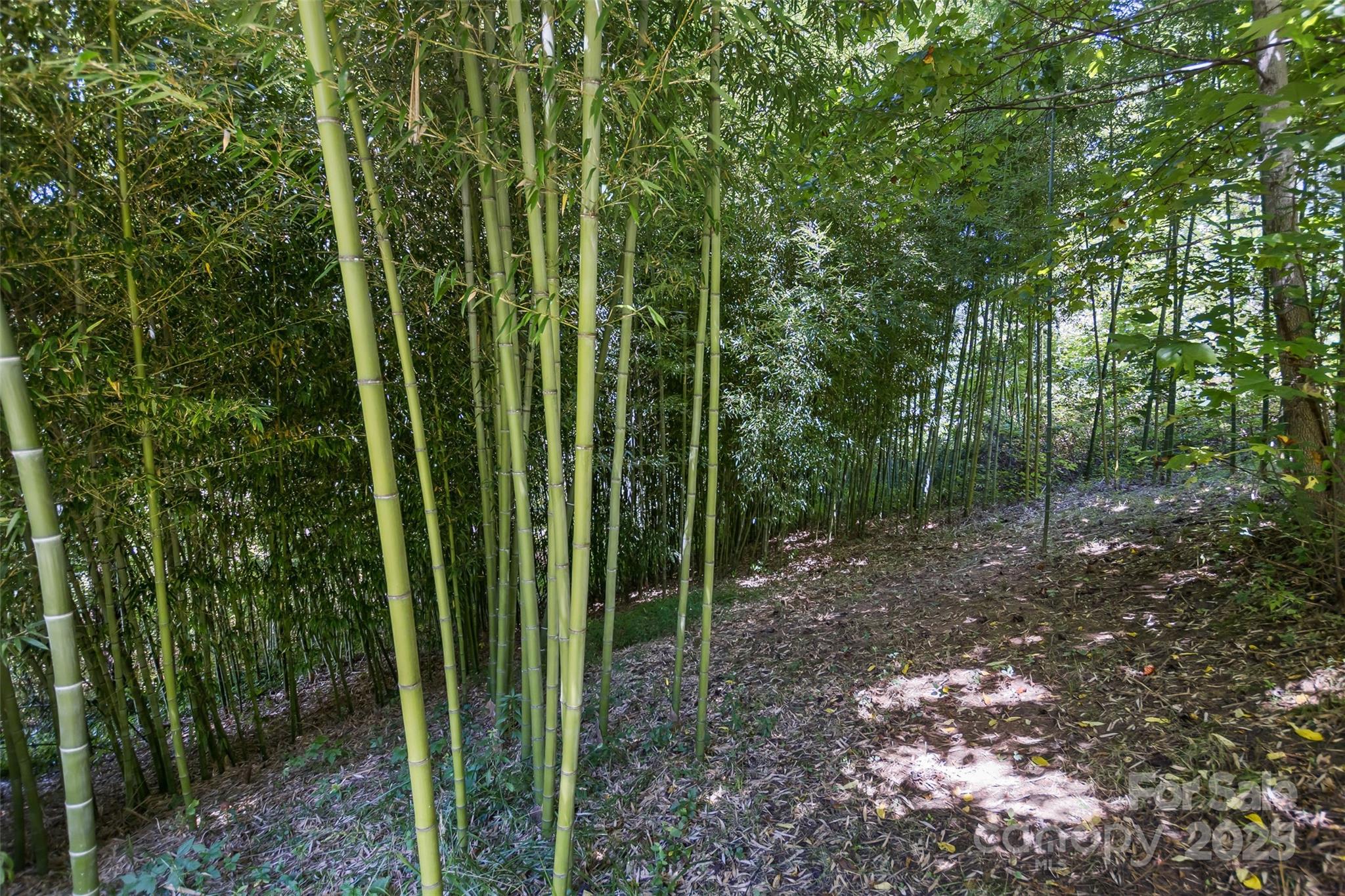 117 Old Dairy Drive Leicester NC 28748