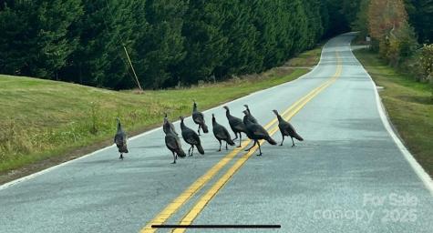 630 Shumont Road Black Mountain NC 28711