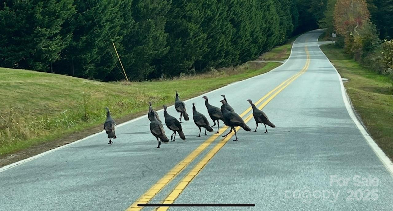 630 Shumont Road Black Mountain NC 28711