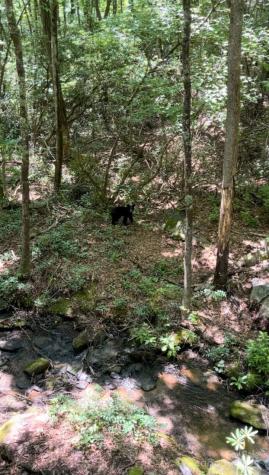 630 Shumont Road Black Mountain NC 28711