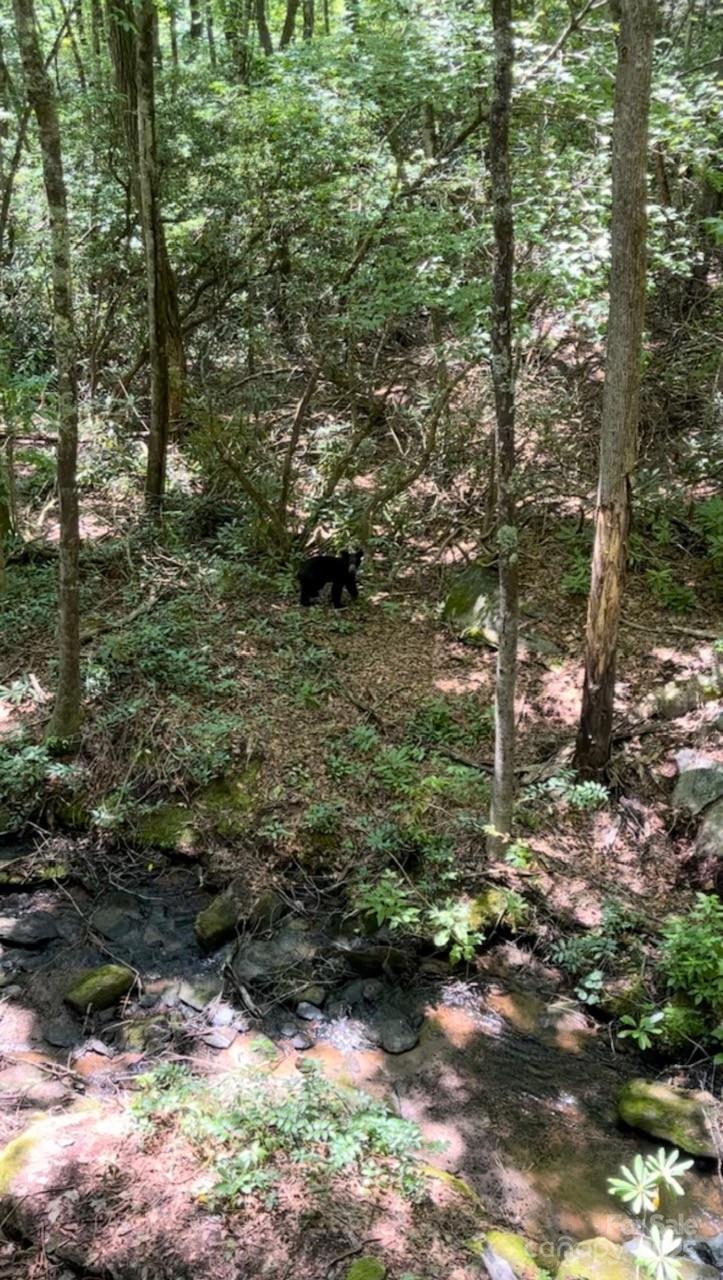 630 Shumont Road Black Mountain NC 28711