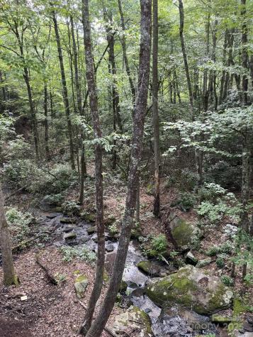 630 Shumont Road Black Mountain NC 28711