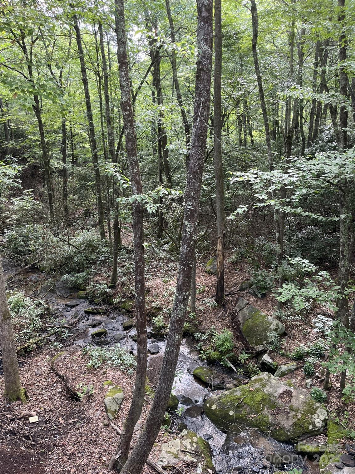 630 Shumont Road Black Mountain NC 28711