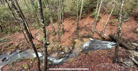 630 Shumont Road Black Mountain NC 28711