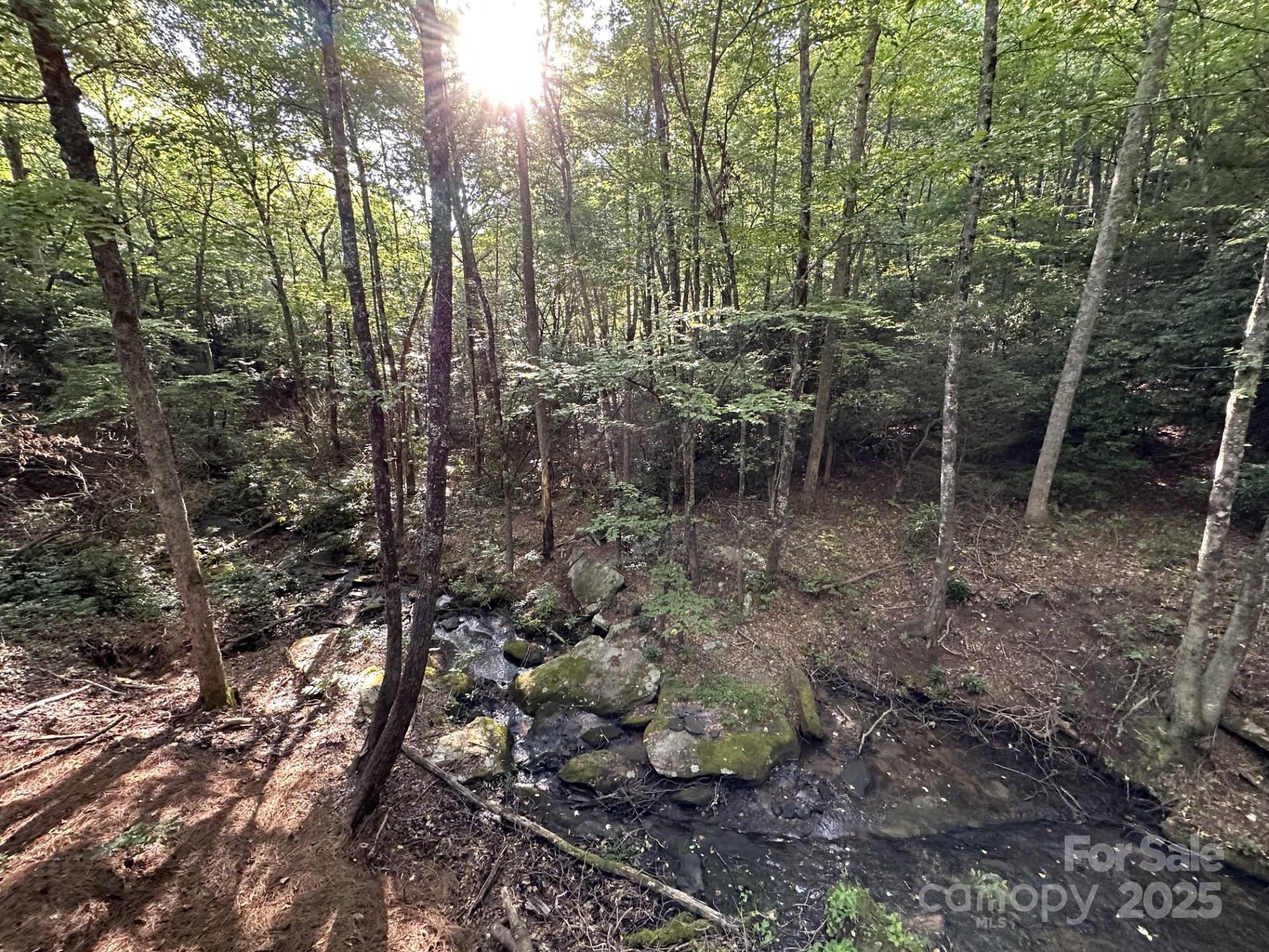 630 Shumont Road Black Mountain NC 28711