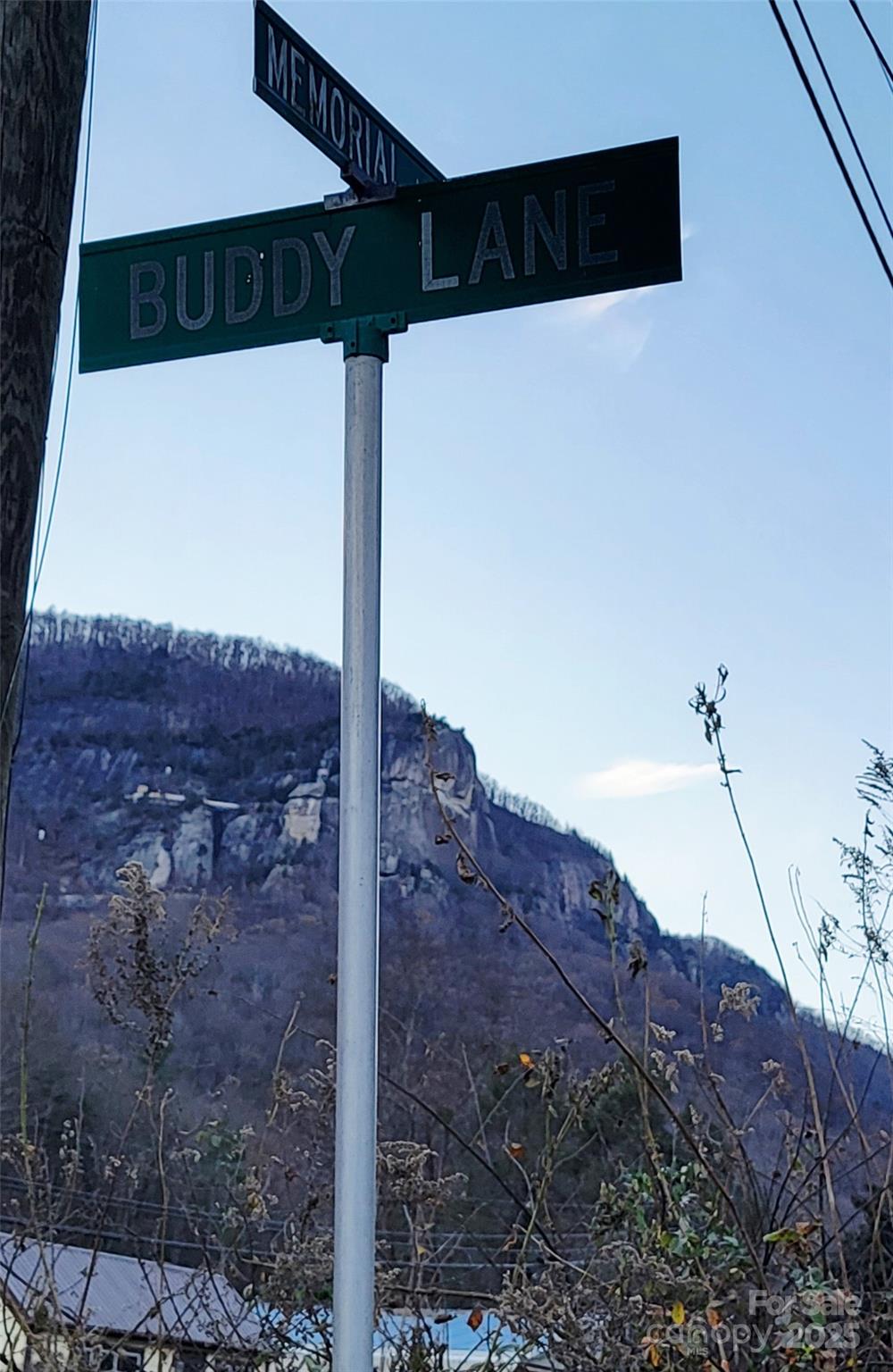 138 Buddy Lane Chimney Rock NC 28720